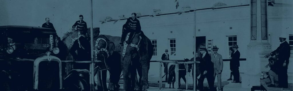 Dark vintage circus image of elements