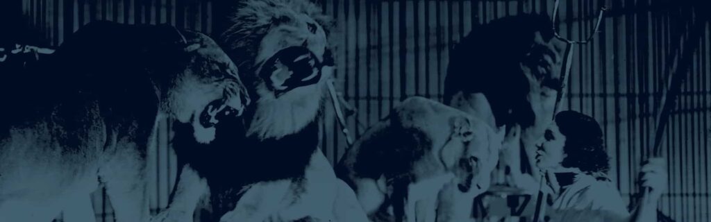 Strong digital vintage circus image of lions