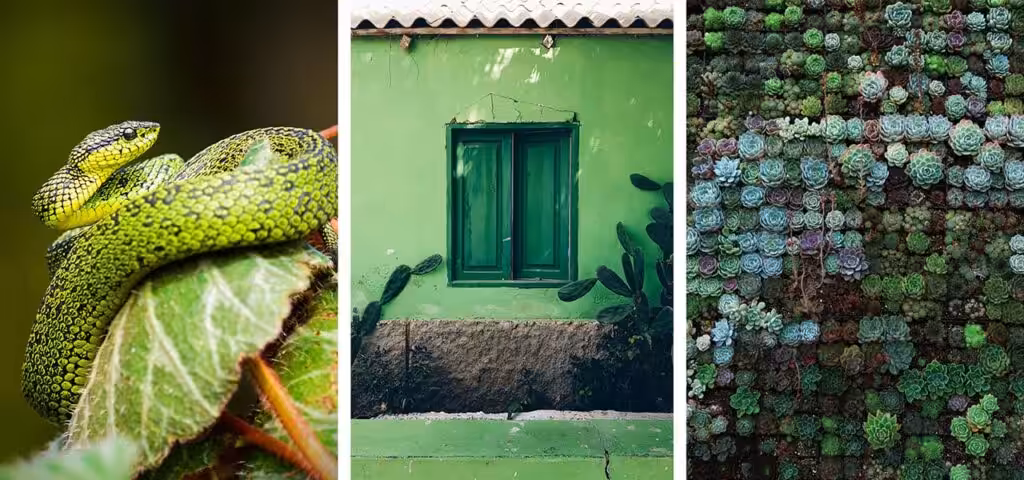 Green colour theory in web design image