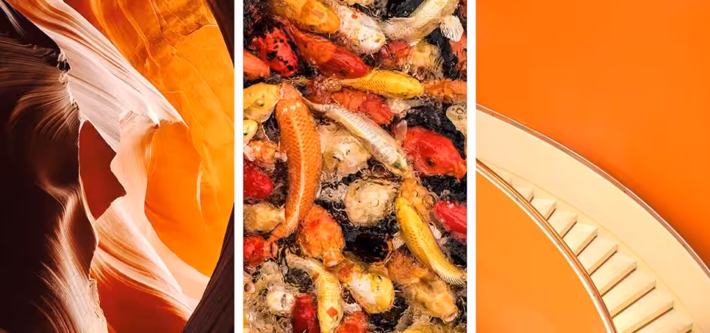 Orange colour theory in web design image
