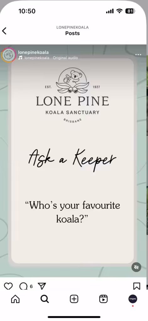 Put Your Customers First: How to Build a Winning Digital Strategy 2 Instagram post from Lone Pine Koala Sanctuary featuring the text: "Ask a Keeper: 'Who's your favorite koala?'" Our digital strategy ensures you never miss these heartwarming moments.