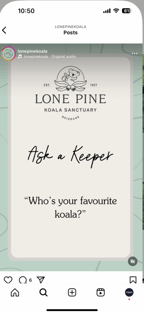Put Your Customers First: How to Build a Winning Digital Strategy 2 Instagram post from Lone Pine Koala Sanctuary featuring the text: "Ask a Keeper: 'Who's your favorite koala?'" Our digital strategy ensures you never miss these heartwarming moments.